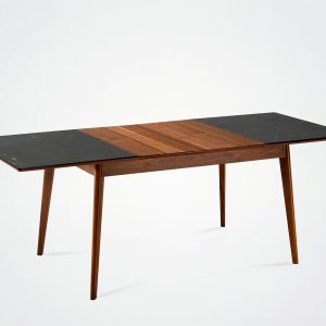 Paul extendible table